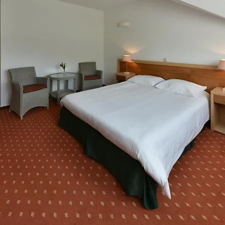 Grand De 3* Vianden